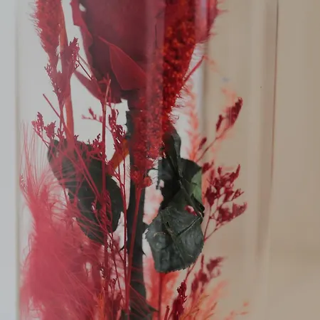 Central Stay Shkodër