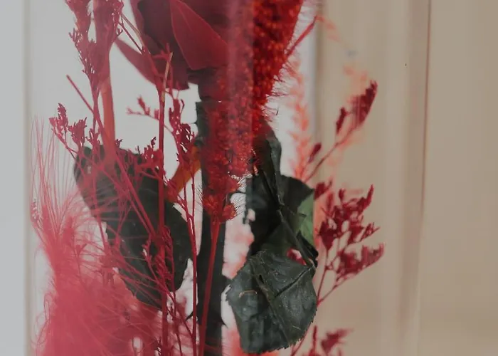 Central Stay Shkodër